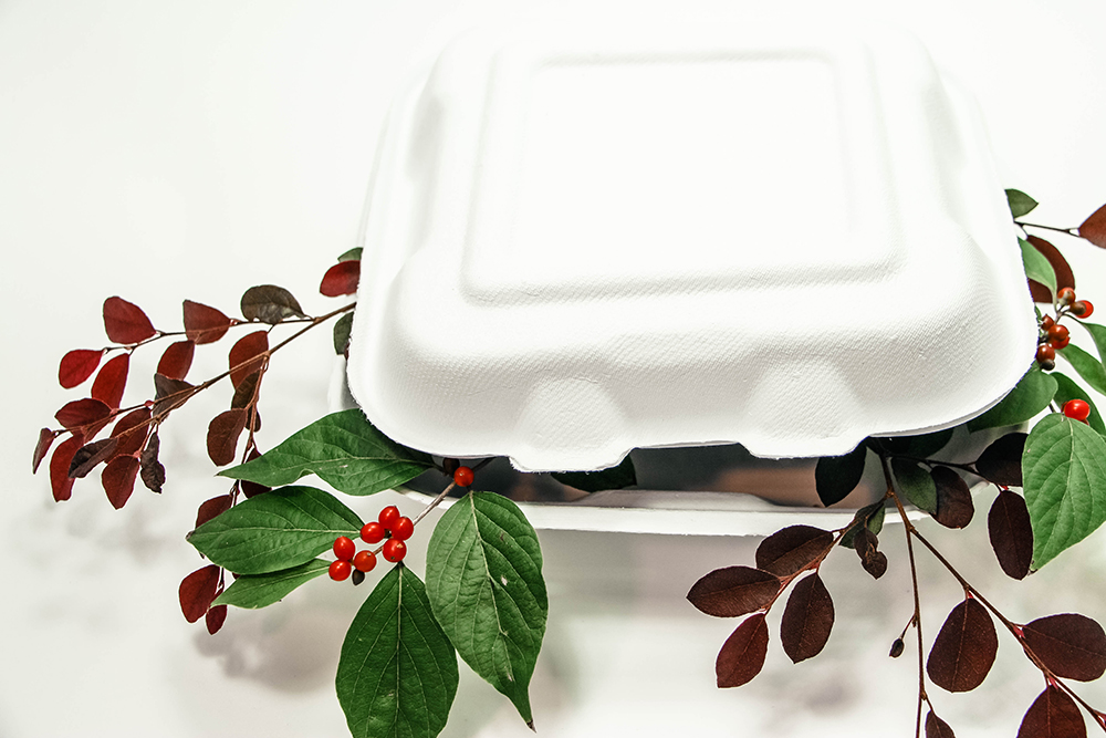 Picture of a Compostable Fiber To-go box. 